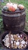 Turismo Rural con alimentos ecol�gicos
