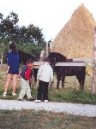 Agroturismo en Asturias