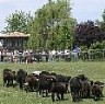 Turismo Rural Comarca de la Sidra