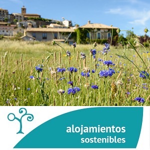 Casa Sarasa Berdn Pirineo aragons